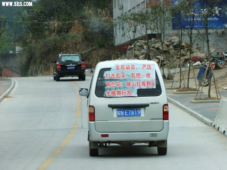 DSCF2340.JPG