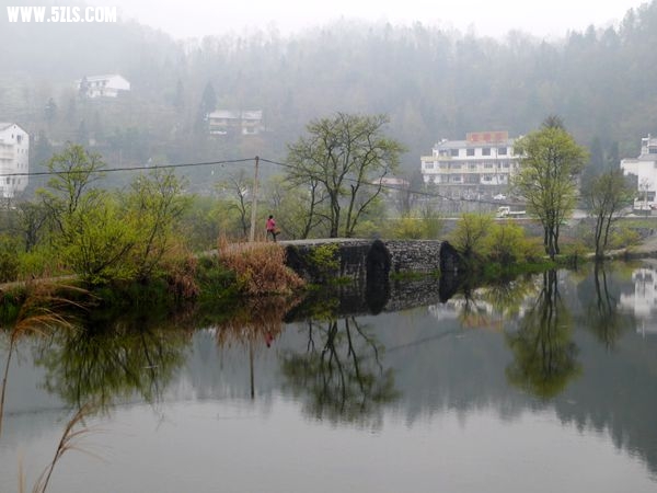 P1020856_.jpg