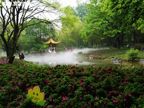 P1030127_.jpg