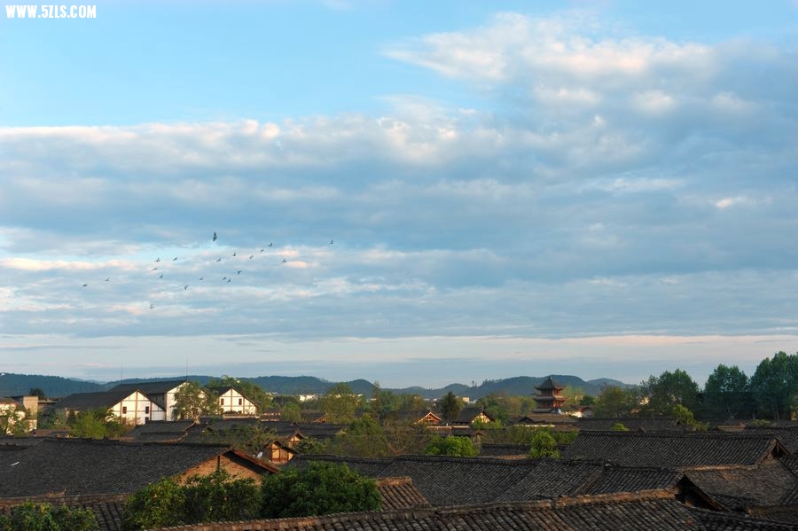 DSC_7852_.jpg