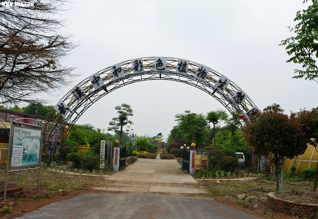 DSC_5424_副本.jpg