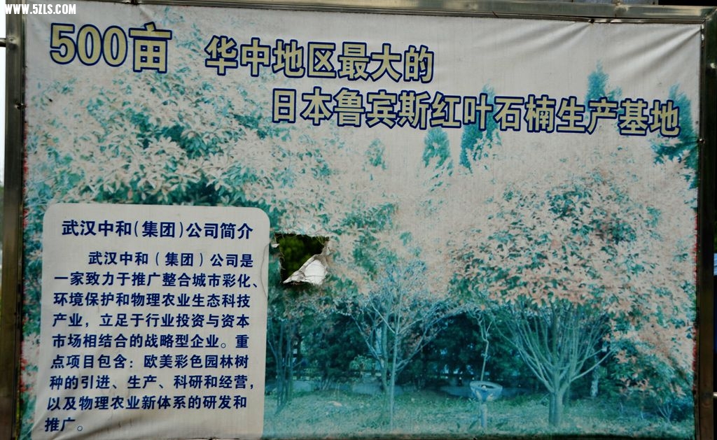 DSC_5426_副本.jpg