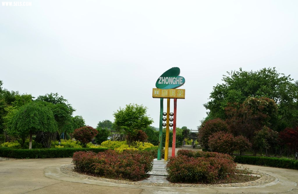 DSC_5335_副本.jpg