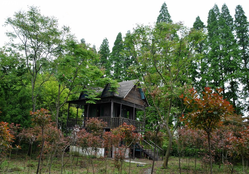 DSC_5328_副本.jpg