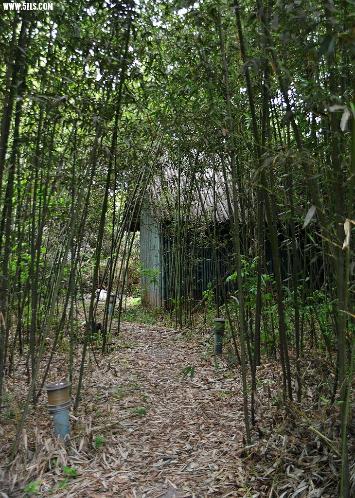 DSC_5333_副本.jpg