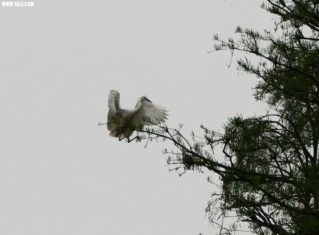 DSC_5638__.jpg