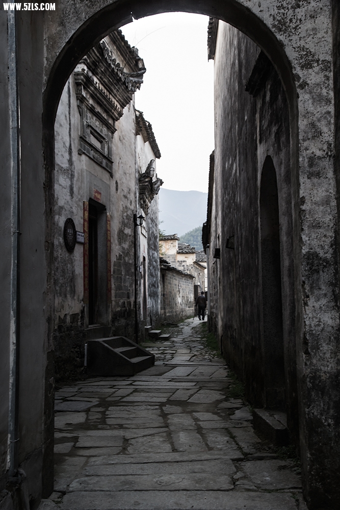 _MG_3485.jpg