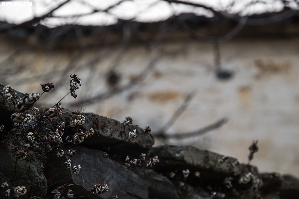 _MG_3501.jpg