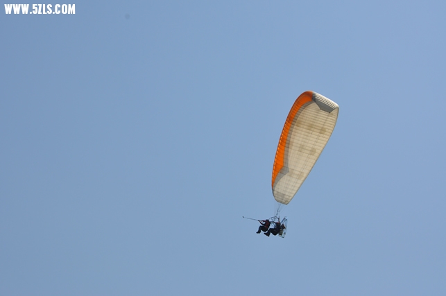 DSC_0310.jpg