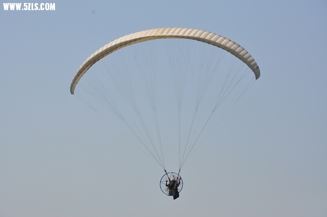 DSC_0299.jpg