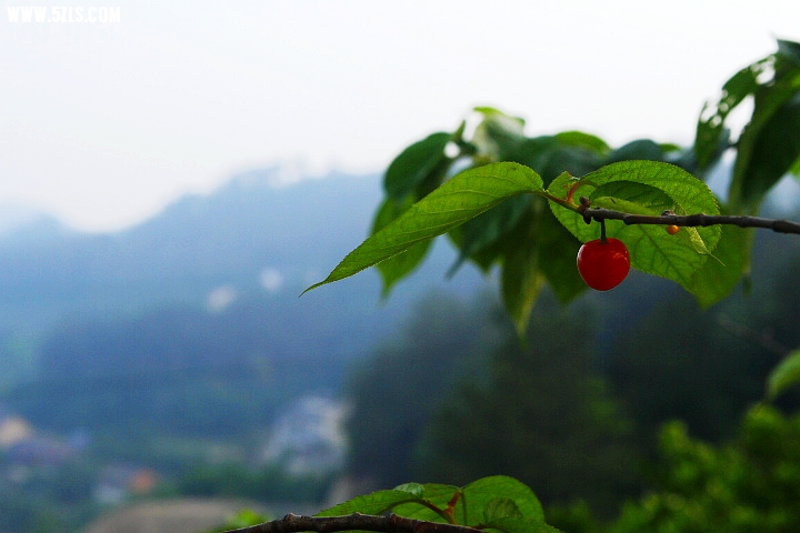 _MG_0428_副本.jpg