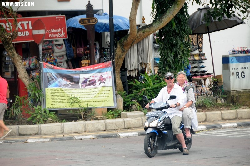 DSC_0241.jpg