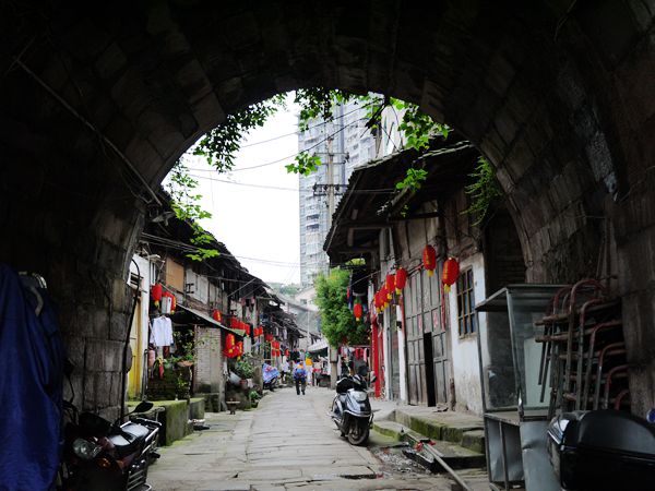 P1030216_.jpg