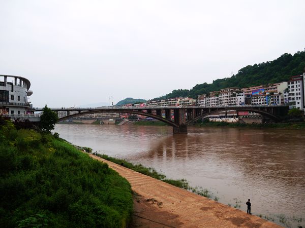 P1030246_.jpg