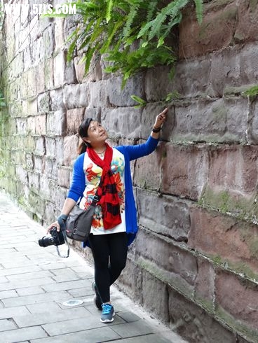 DSC08935_ͼ_.jpg
