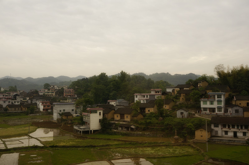 _DSC6274_.jpg