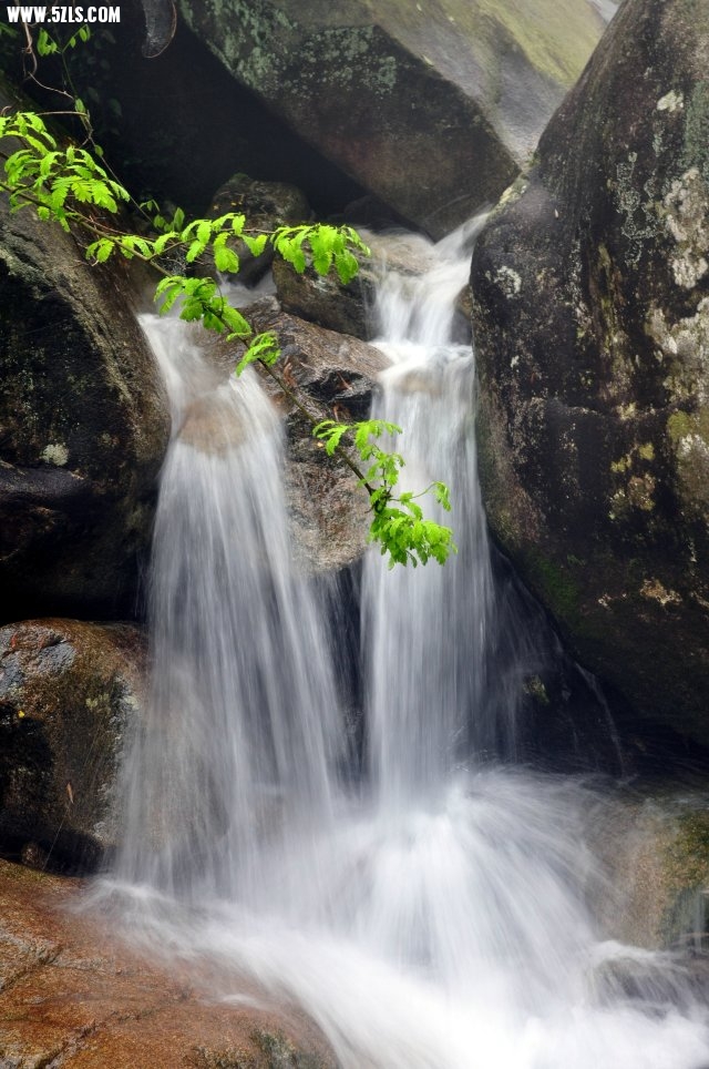 DSC_0075_.jpg