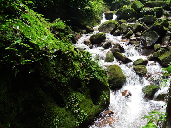 P1030462_.jpg