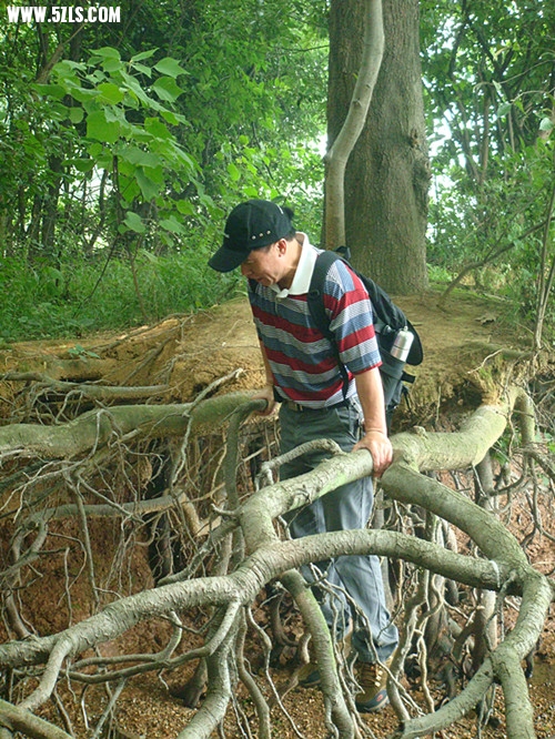 DSC03985_.jpg