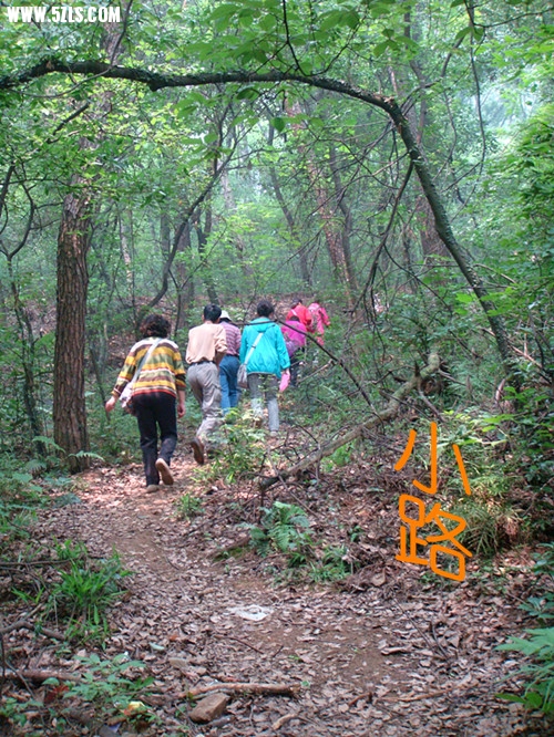 DSC04000_.jpg