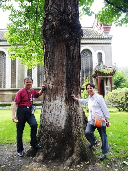 P1030550_.jpg