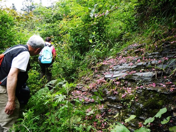 P1030569_.jpg