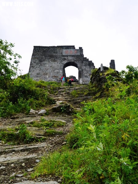 P1030582_.jpg