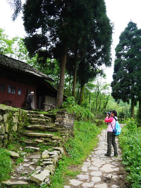 P1030594_.jpg