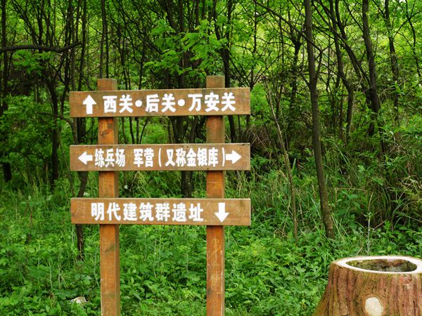 P1030602_.jpg