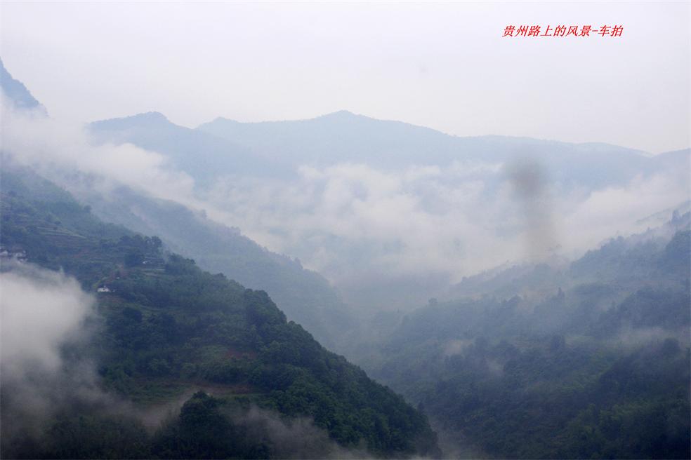 _IGP0071_.JPG