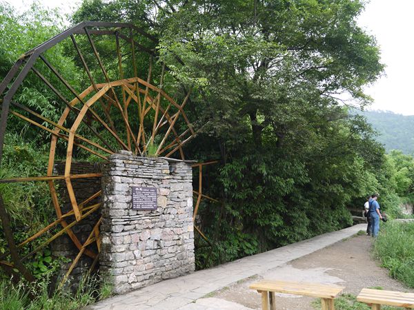 P1030626_.jpg