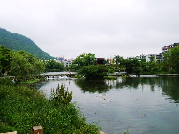 P1030627_.jpg