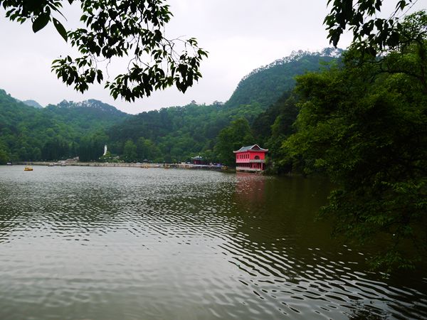 P1030640_.jpg