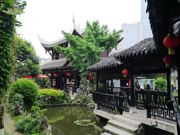 P1030678_.jpg