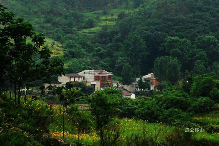 DSC_7656.JPG