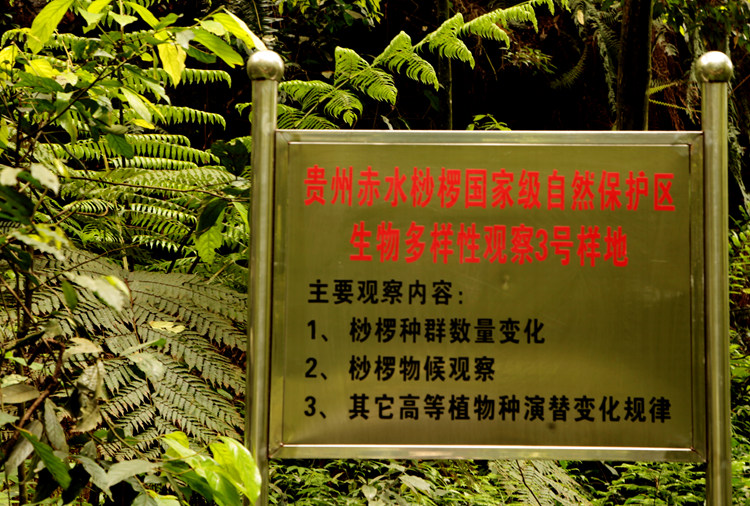 IMG_0576_副本.jpg