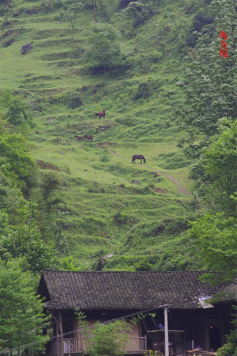 _IGP0800_.JPG