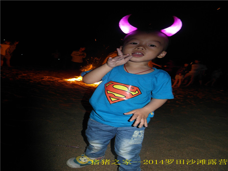 SAM_2902.jpg
