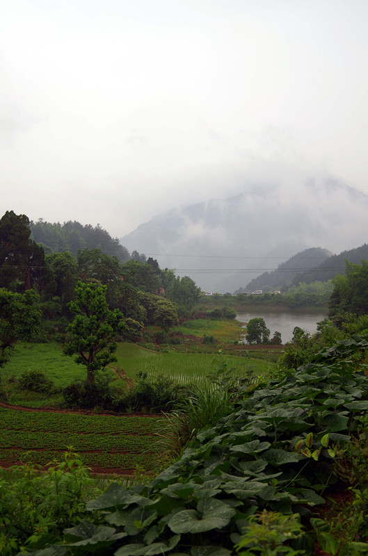 IMGP6068_.jpg