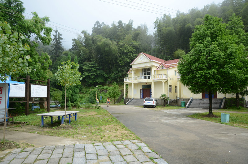 DSC_2370.JPG