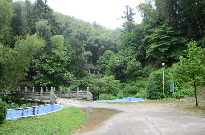 DSC_2374.JPG