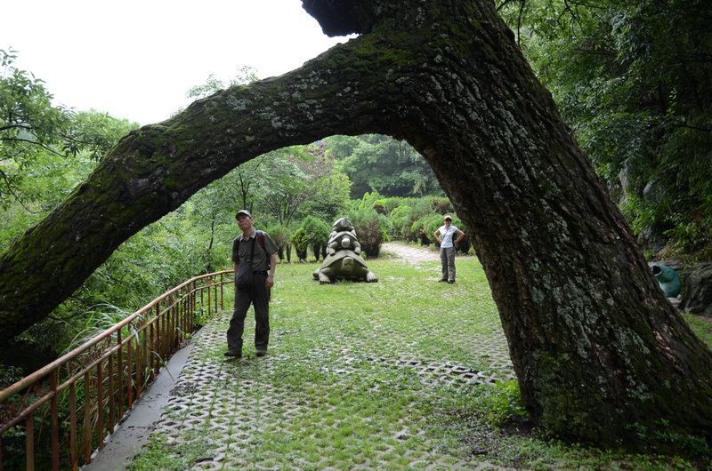 DSC_2380.JPG