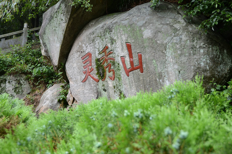 DSC_2390.JPG