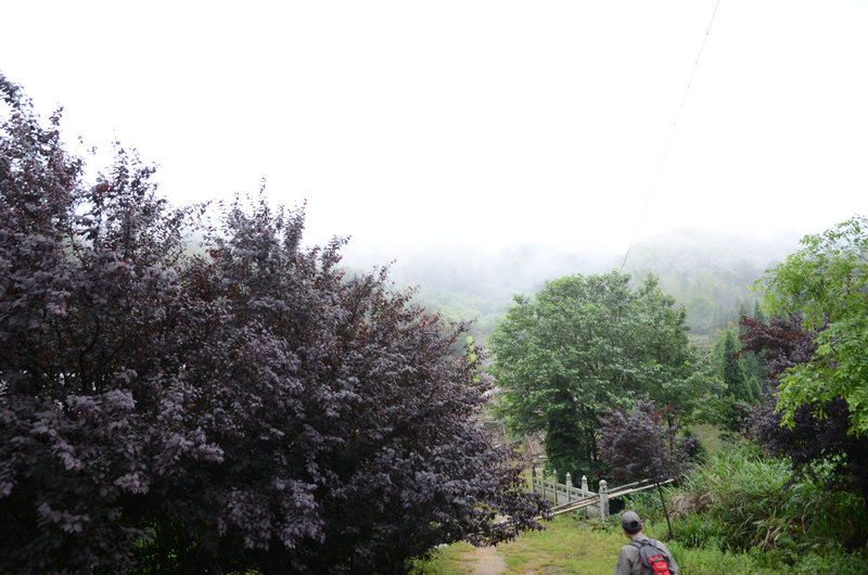 DSC_2394.JPG