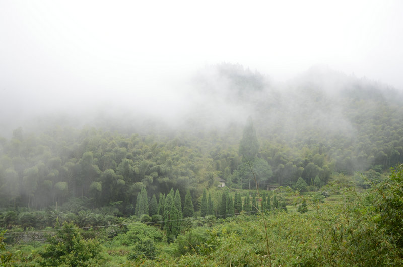 DSC_2405.JPG