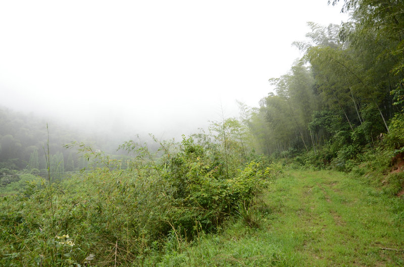 DSC_2407.JPG