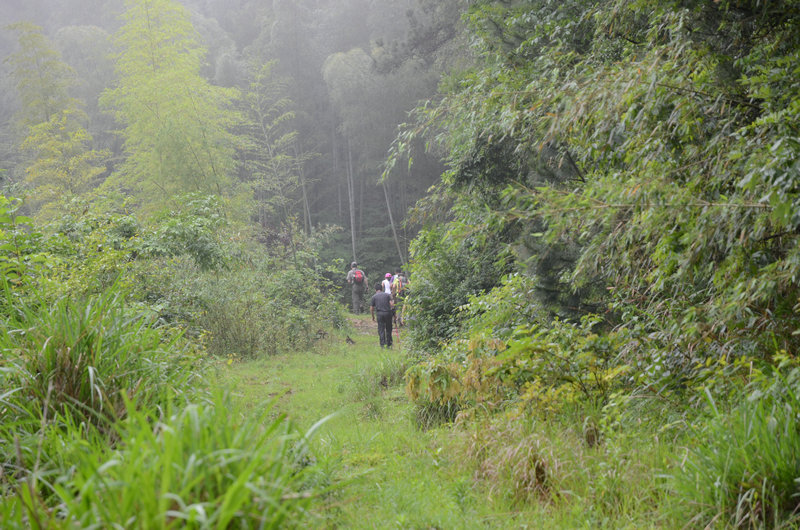 DSC_2402.JPG