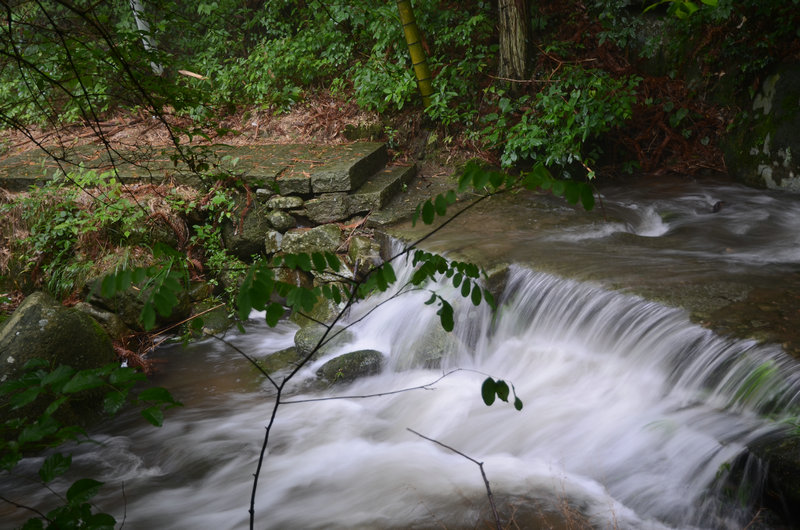 DSC_2439.JPG