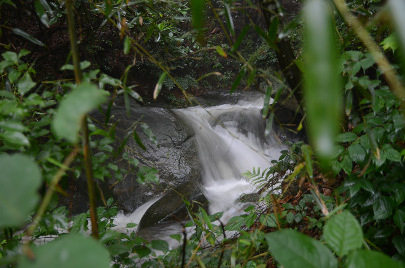 DSC_2440.JPG