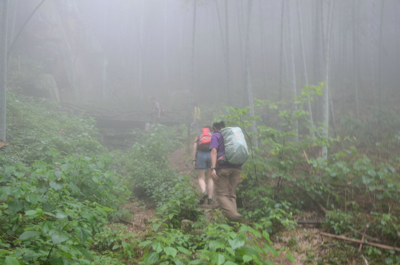 DSC_2454.JPG